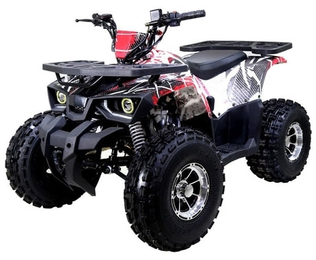 125cc Quad Tao Tao 125cc ATV Raptor Mid Size Automatic With Reverse Junior 4 Wheeler