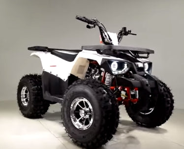 125cc Quad Tao Tao 125cc ATV Raptor Mid Size Automatic With Reverse Junior 4 Wheeler