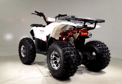 125cc Quad Tao Tao 125cc ATV Raptor Mid Size Automatic With Reverse Junior 4 Wheeler